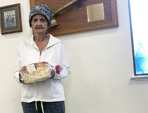 SVdP Walks with a Senior in Need